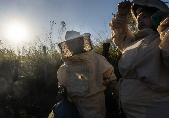 Cooperativas impulsionam negócios através da exportação e impactam o setor nacional