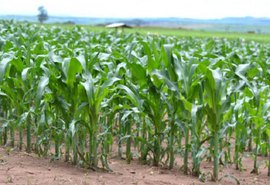 Fenômeno La Niña ganha força e pode durar até 2023