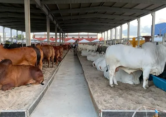 Expoagro Alagoas é oportunidade de investimento em genética e negócios da pecuária