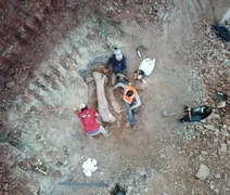 Fósseis de 100 milhões de anos encontrados no Maranhão são de espécie de dinossauro inédita para a ciência