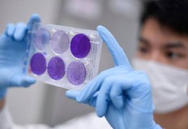 Brasil registra 299 mortes por covid-19 e 7.910 casos confirmados