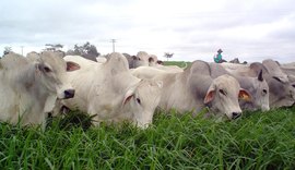 Agro e meio ambiente conversam com presidenciáveis