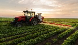 Dia do Agronegócio: setor avança, mas enfrenta desafios com preços e clima