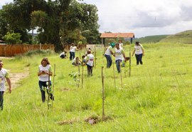 Servidores da CGE fazem plantio de 140 árvores no lançamento do Projeto Semear