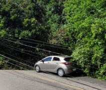 Árvore cai sobre carro com três pessoas e derruba postes na parte alta de Maceió; veja