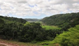 AL é o 2º estado que menos desmata Mata Atlântica no País