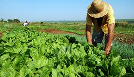 Trabalhadores do campo e da indústria têm reajustes de 4% e 3,5%