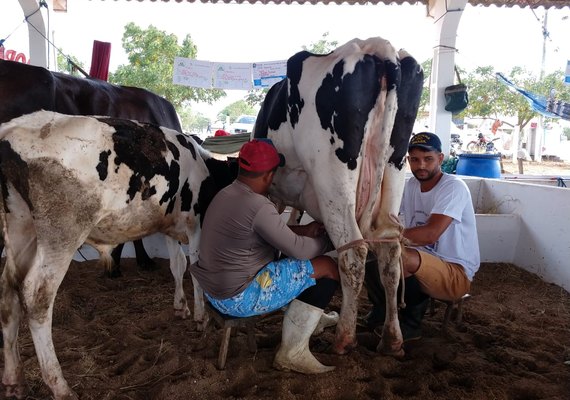 CPLA: torneios leiteiros estimulam o fortalecimento da agricultura familiar