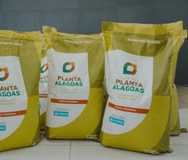 Dia da Agricultura: Governo de AL distribuirá 850 t de sementes em 2026