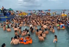 MPF irá investigar festa ilegal em área de proteção ambiental no Litoral Norte