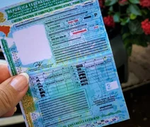 Renan Filho anuncia lançamento da CNH do Brasil, medida que vai facilitar retirada do documento