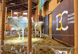 Leilão Nelore Barros Correia será o abre-alas da Expoagro 2023