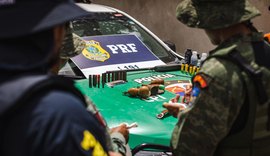 FPI autua homem por posse ilegal de arma de fogo, poluição e aplica multa de R$ 38 mil