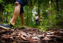 Maragogi: trilha do Visgueiro é opção para quem curte aventura