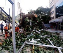 Mais de 100 mil clientes seguem sem energia após vendaval no Rio