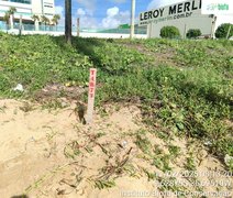 Vídeo: em risco de extinção, tartaruga-de-pente desova em praia de Cruz das Almas, em Maceió