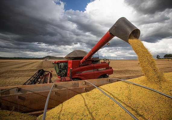 Banco do Brasil e Brics vão injetar R$ 1,5 bilhão no agronegócio