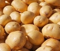 Preços da batata registram queda pela terceira semana consecutiva