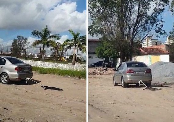 Homem que arrastou cachorro com carro em Maceió é intimado pela PC