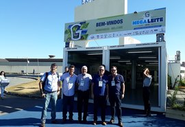 Sistema de recria de animais pode cortar custos da cadeia produtiva de leite