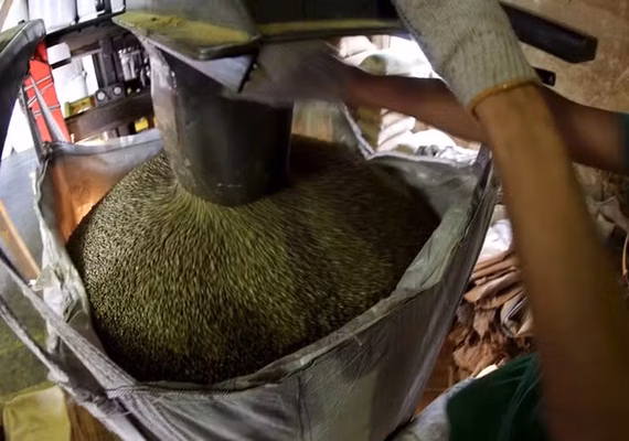 Exportadores de café gastam R$ 3 milhões ao mês com problemas portuários