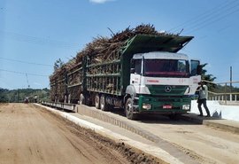 Pindorama apresenta otimismo para a safra 20/21