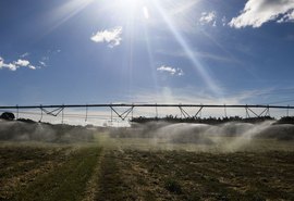 Termina hoje prazo para produtores aderirem ao Refis Rural