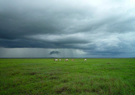 Chuvas excessivas podem atrapalhar os trabalhos no campo