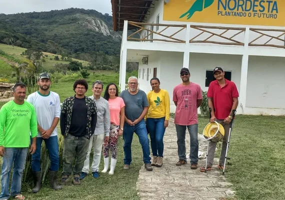 Nova própolis descoberta em Alagoas pode revolucionar tratamento anti-inflamatório