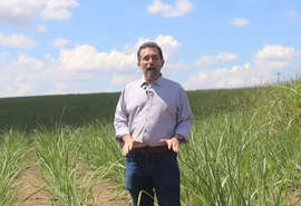 Alagoas Rural: Vídeo sobre cana sem irrigação viraliza e alcança 24 mil views