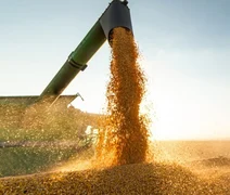 Os desafios do agro na América Latina