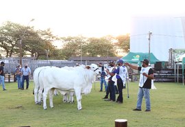 70º Expoagro/AL já é sucesso no agro brasileiro em 2020