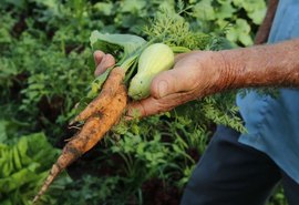 Sancionada lei que fortalece financiamento para agricultura familiar