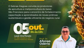 Penedo recebe 2º Encontro dos Criadores de Abelhas da Região Sul