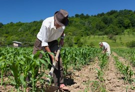 Marx Beltrão solicita ao governador para nomear seu irmão à Seagri