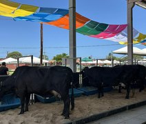 Com apoio do Governo de Alagoas, 74ª Expoagro registra o maior público de todas as edições