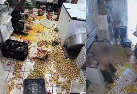 Jovens invadem escola no Paraná e destrói 400 ovos da merenda