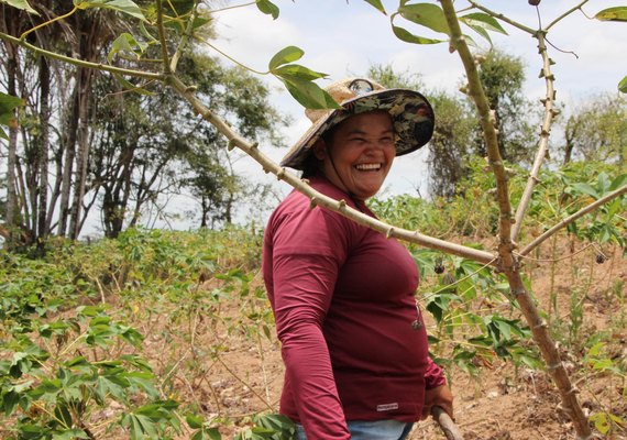 Participação do interior no PIB de Alagoas supera a capital, aponta IBGE