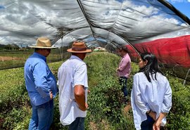 Secretaria de Agricultura vai implantar vitrine tecnológica no Sertão