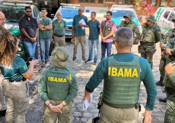 Operação “Mata Atlântica em Pé” flagra desmatamento em Maceió