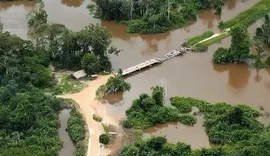 Polícia Federal destrói ponte de acesso à terra indígena no Pará