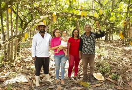Cooperativas da agricultura familiar entram no centro do debate sobre crédito rural