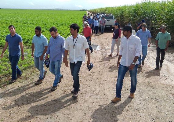 Plantio de grãos avança na Zona da Mata