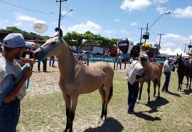 Copa de Marcha Terra dos Marechais abre programação técnica da Expoagro-AL 2025