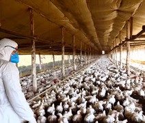 Lei que atualiza medidas para emergências sanitárias é sancionada