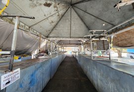 Aluguel pelo valor da compra: Mercado do Biu em Maceió com 'tendas de ouro'