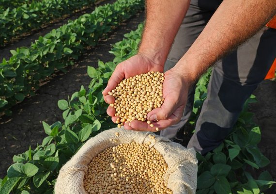 Em nota, agricultura familiar defende aumento da mistura do biodiesel a partir de abril