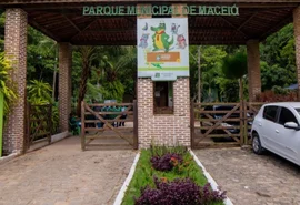 Presença de colmeia de abelhas interdita Parque Municipal de Maceió de forma temporária