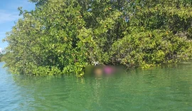 Corpo de mulher encontrado boiando na Lagoa Mundaú tinha marca de tiro na nuca