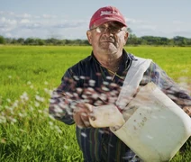 Cooperativas fortalecem o acesso ao seguro rural no Brasil